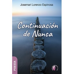 CONTINUACIÓN DE NUNCA